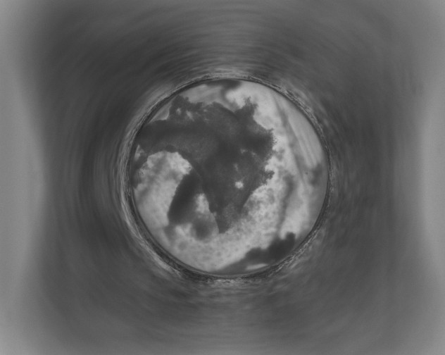 X0000111810145200908201117