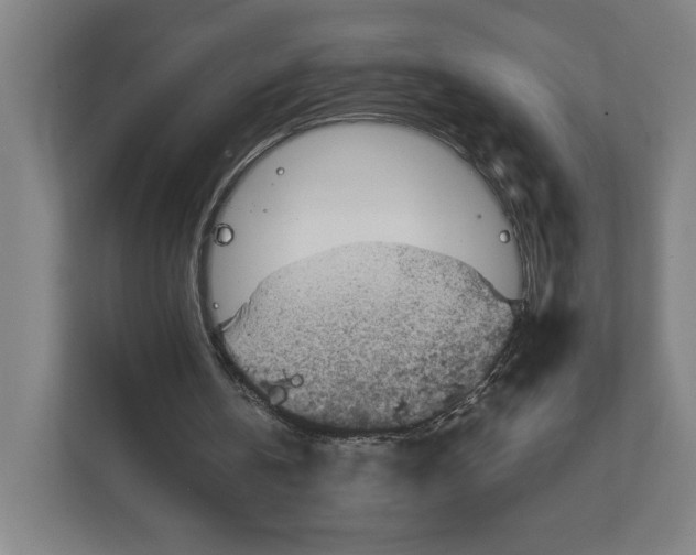 X0000111810146200908201117