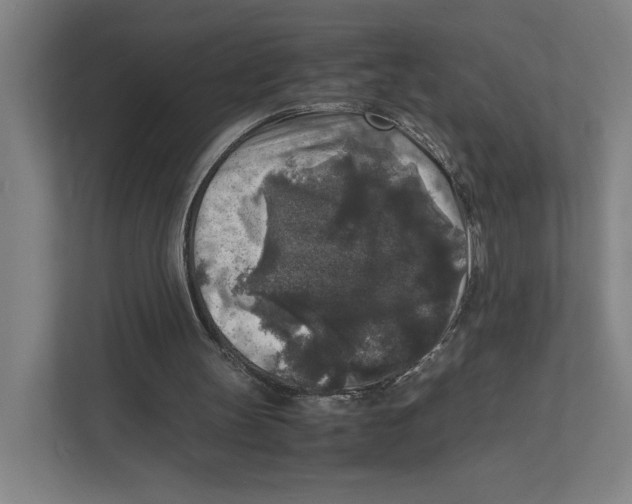 X0000111810147200908201117