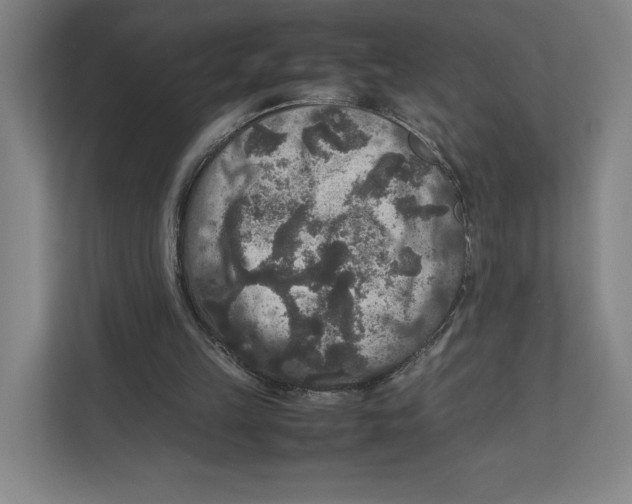 X0000111810149200908201117