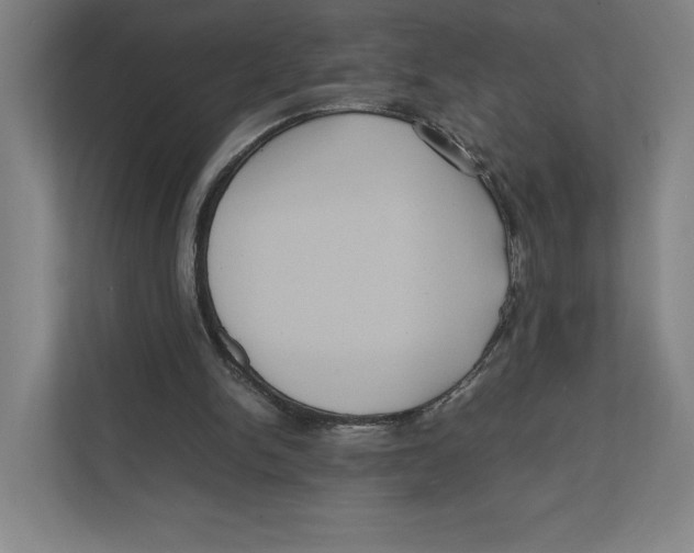 X0000111810150200908201117