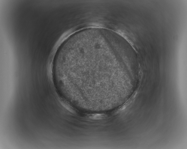 X0000111810151200908201117