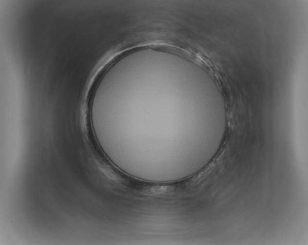 X0000111810152200908201117