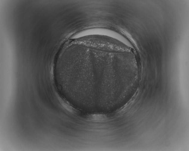 X0000111810154200908201117