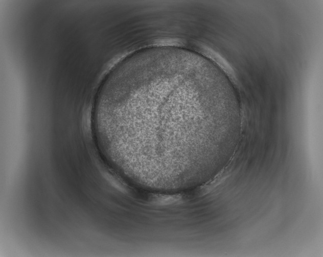 X0000111810155200908201117