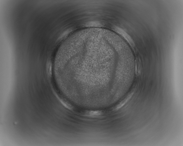 X0000111810157200908201117