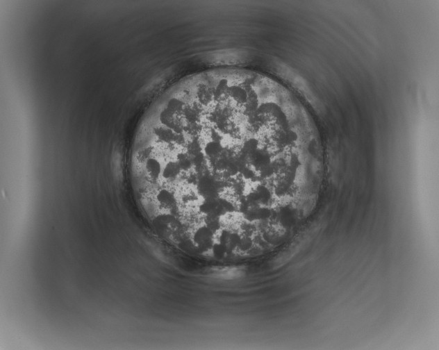 X0000111810161200908201117