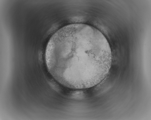 X0000111810162200908201117