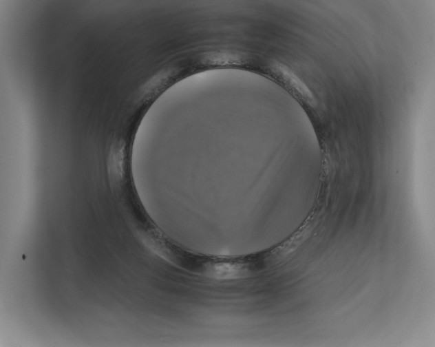 X0000111810163200908201117