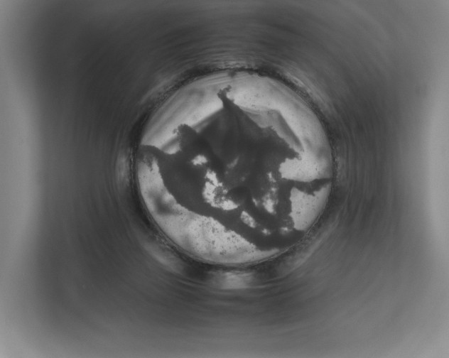 X0000111810165200908201117