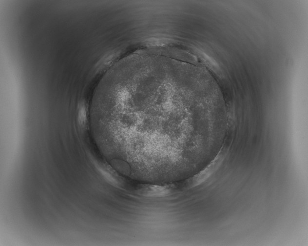 X0000111810166200908201118