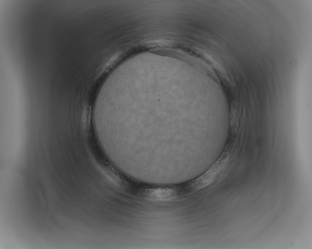 X0000111810168200908201118