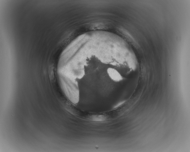 X0000111810169200908201118