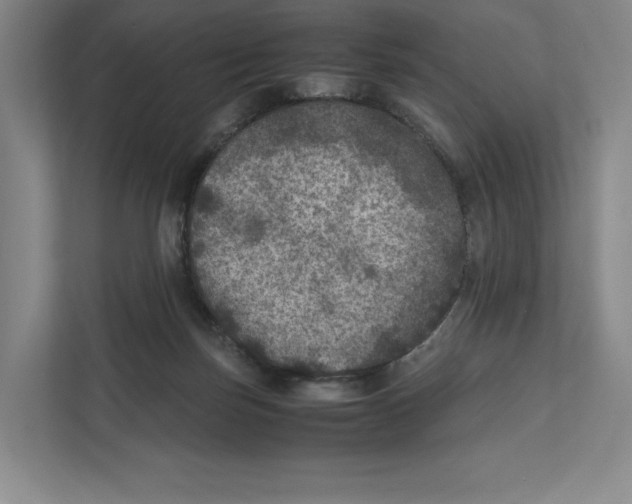 X0000111810171200908201118
