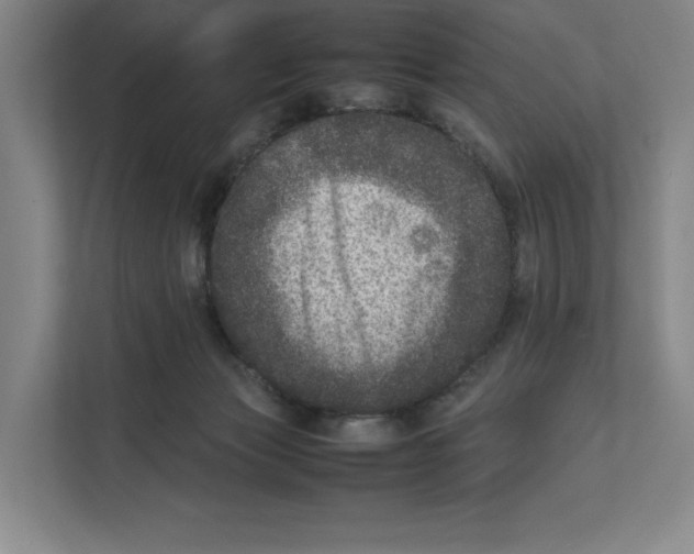 X0000111810173200908201118