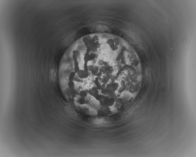 X0000111810177200908201118