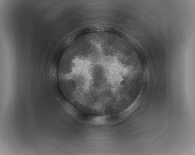 X0000111810178200908201118