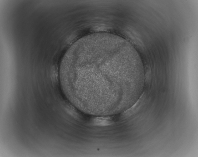 X0000111810179200908201118