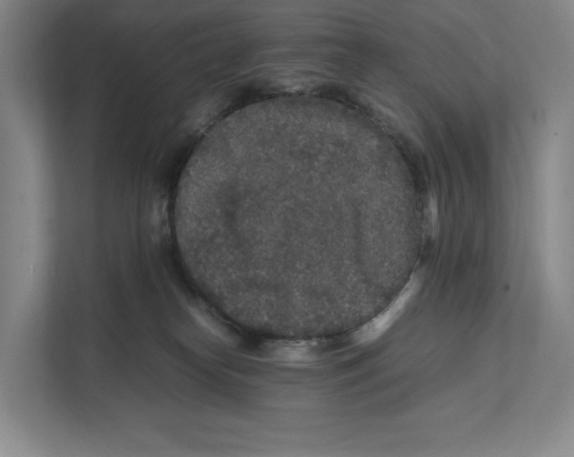 X0000111810182200908201118
