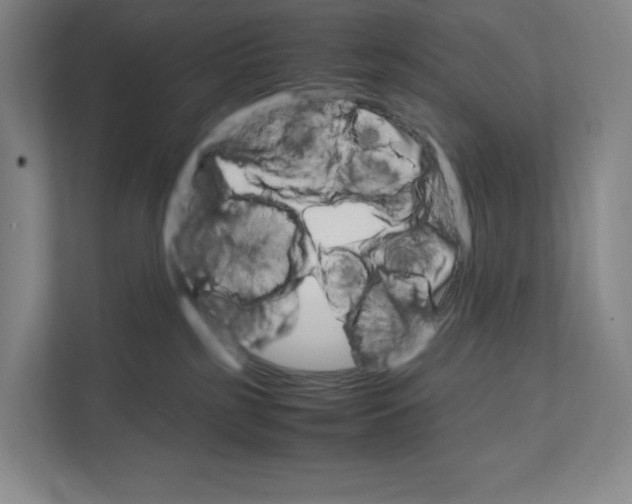 X0000111810185200908201118
