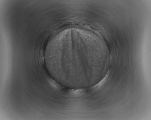 X0000111810186200908201118