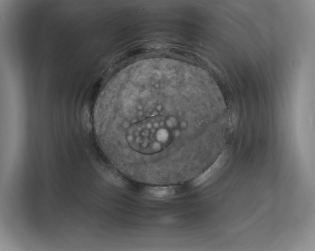 X0000111810187200908201118