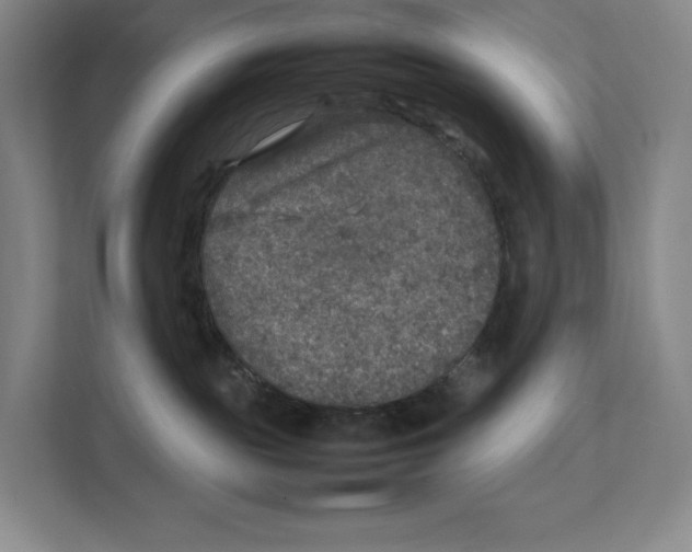 X0000111810189200908201118