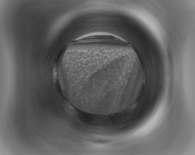 X0000111810190200908201118