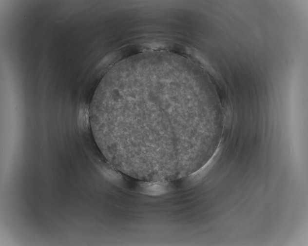 X0000111810191200908201118