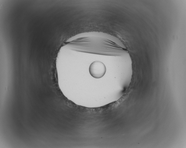 X0000111810192200908201118
