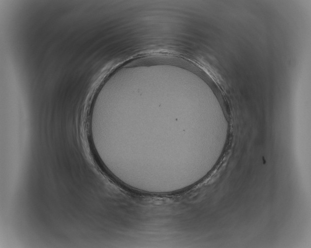 X0000111810193200908201117