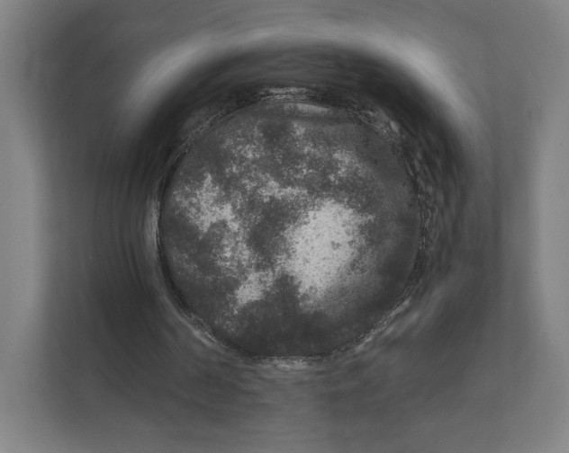 X0000111810194200908201117