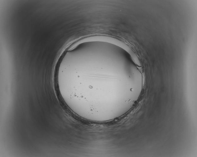 X0000111810195200908201117