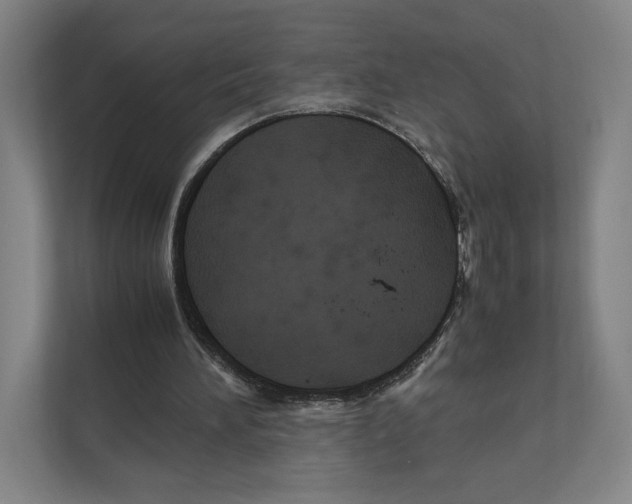 X0000111810196200908201117