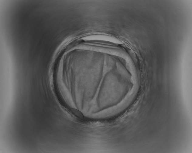 X0000111810197200908201117