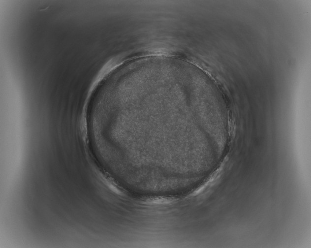 X0000111810198200908201117