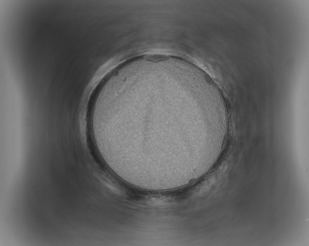 X0000111810199200908201117