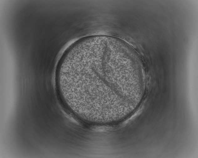 X0000111810200200908201117