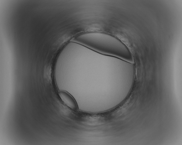 X0000111810201200908201117