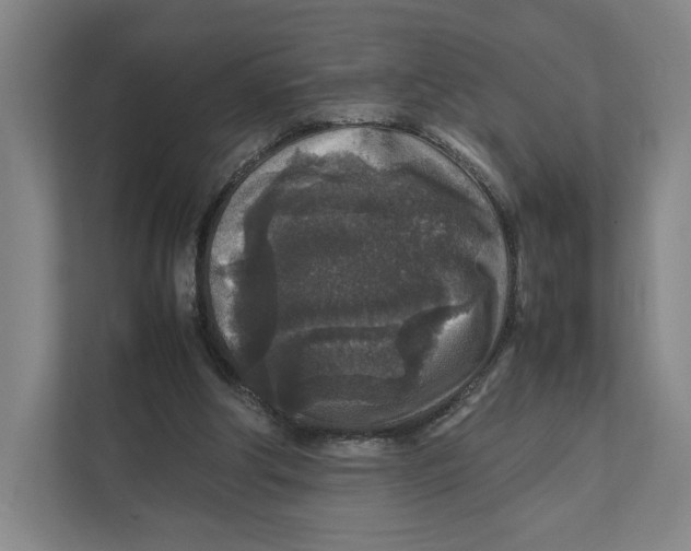 X0000111810202200908201117