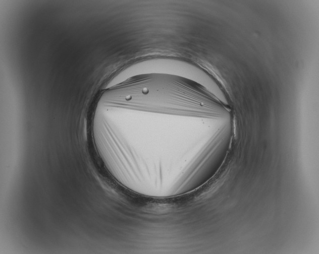 X0000111810205200908201117