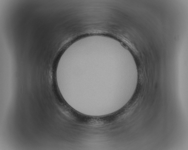 X0000111810207200908201117