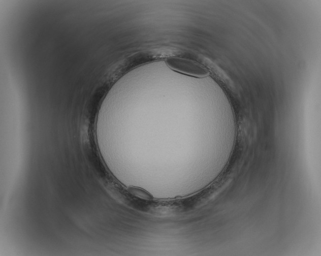 X0000111810209200908201117