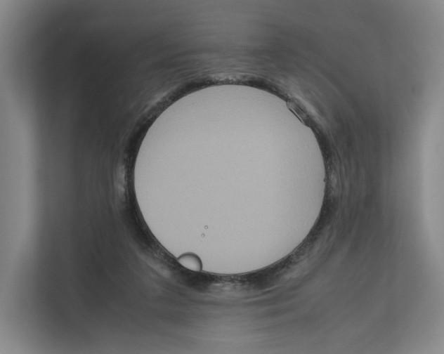 X0000111810211200908201117