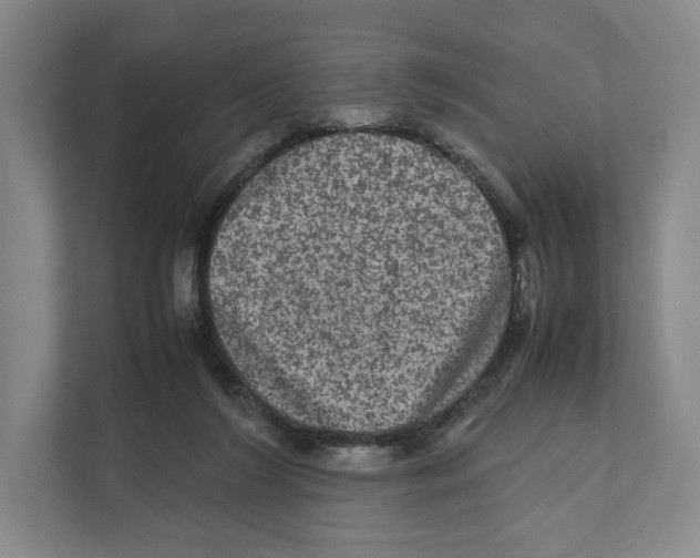 X0000111810212200908201117