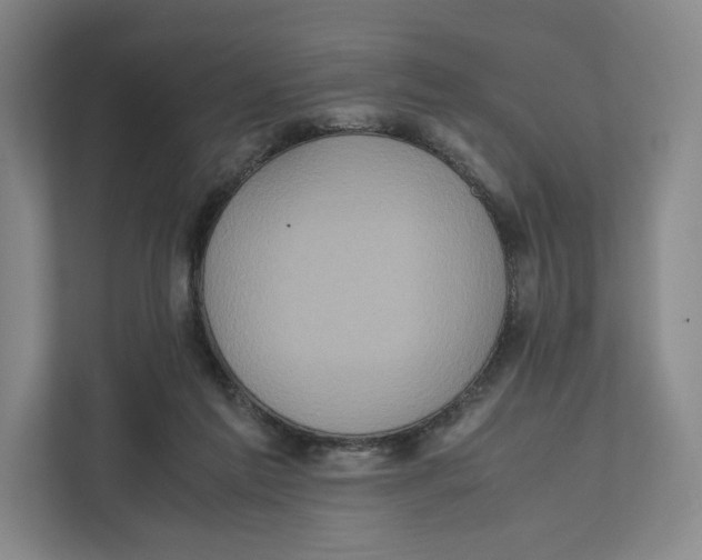 X0000111810213200908201117