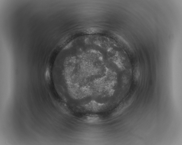 X0000111810214200908201117