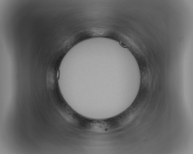 X0000111810215200908201117
