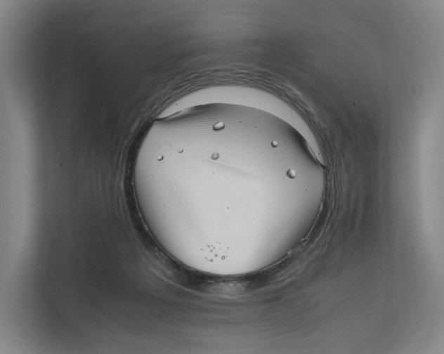 X0000111810217200908201117