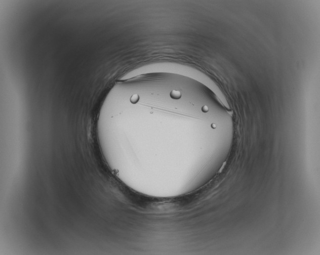 X0000111810219200908201117